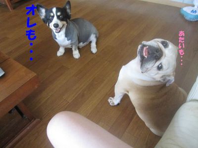 おっさん!?; ̄ロ ̄)