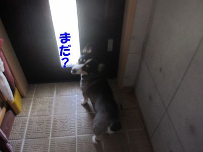 おっさん!?; ̄ロ ̄)