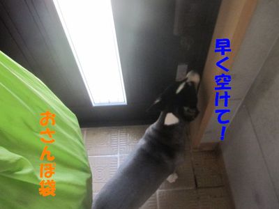おっさん!?; ̄ロ ̄)