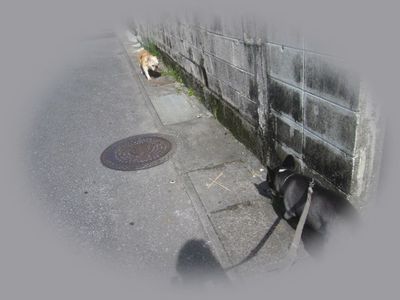 おっさん!?; ̄ロ ̄)