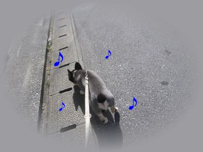 おっさん!?; ̄ロ ̄)