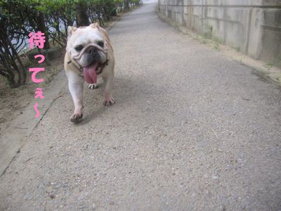 散歩後を考えなきゃ!?( ̄Д ̄;)