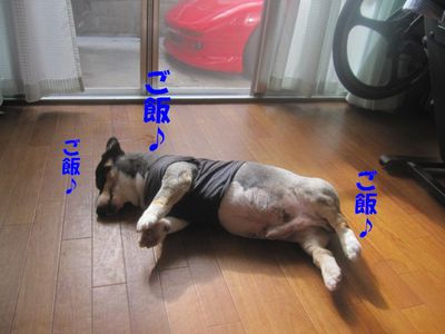 顔怖いよ・・・