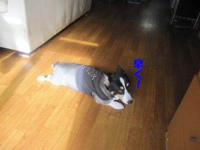 顔怖いよ・・・