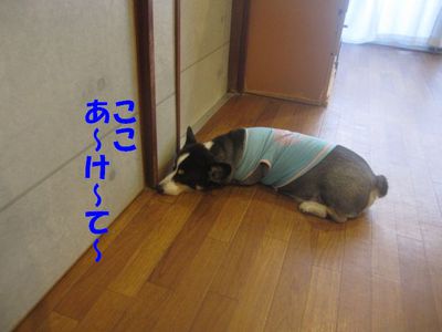 それぞれの行動・・・だね♪