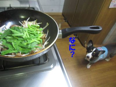 それぞれの行動・・・だね♪
