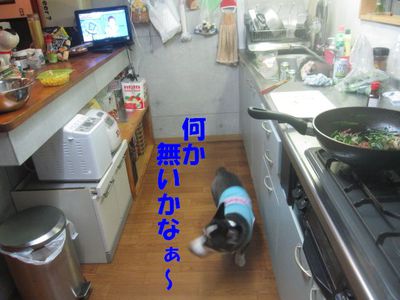 それぞれの行動・・・だね♪