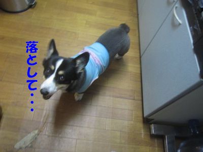 それぞれの行動・・・だね♪
