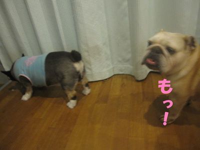 学習したら、困る・・・