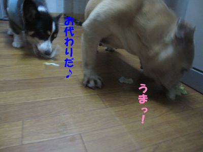 学習したら、困る・・・