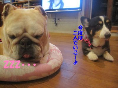 頑張る&物足りない