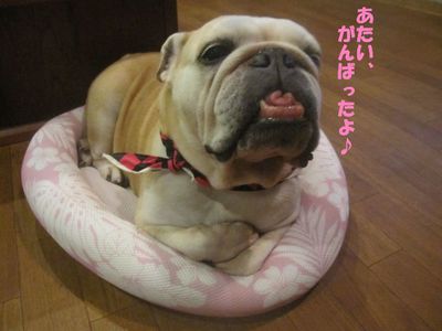 頑張る&物足りない