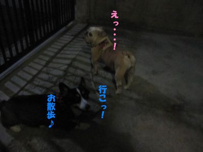 頑張る&物足りない