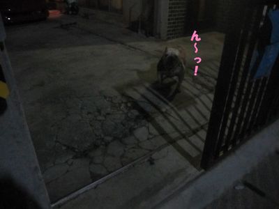 頑張る&物足りない