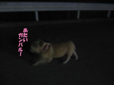 頑張る&物足りない