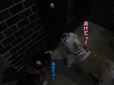頑張る&物足りない