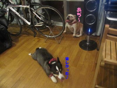 頑張る&物足りない