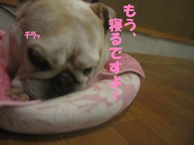 寝相が〇〇みたい。( ̄∇ ̄;)フフ