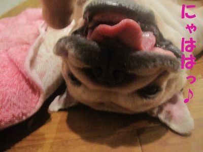 歓迎してさ!