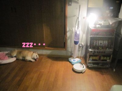 寝相が〇〇みたい。( ̄∇ ̄;)フフ