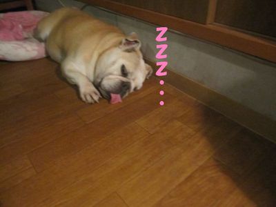 寝相が〇〇みたい。( ̄∇ ̄;)フフ