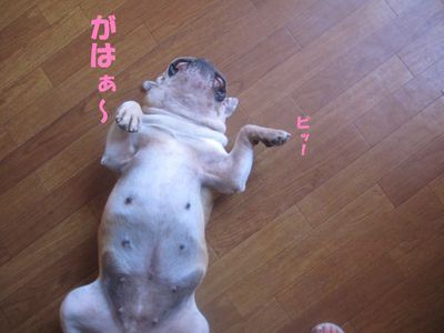 お疲れさま