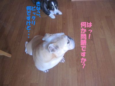 お疲れさま