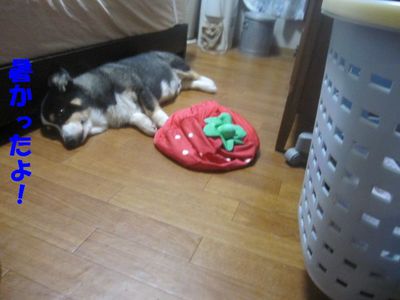 お疲れさま