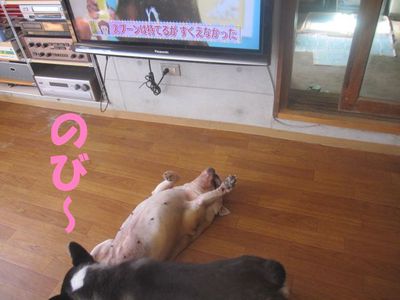 今日も元気一杯♪