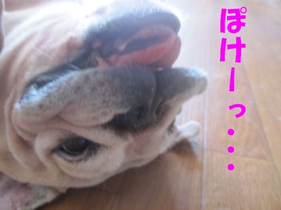 今日も元気一杯♪