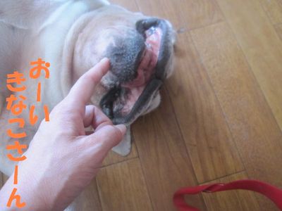 今日も元気一杯♪