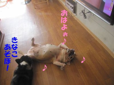 今日も元気一杯♪