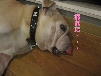 キレイ♪キレイ♪