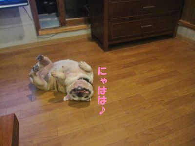 キレイ♪キレイ♪
