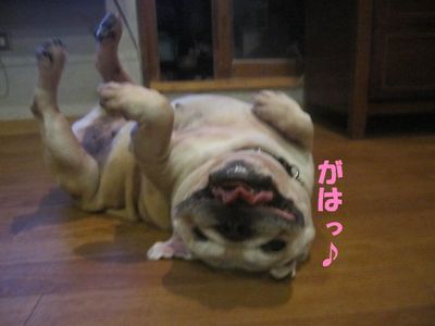 キレイ♪キレイ♪