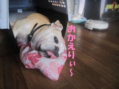 キレイ♪キレイ♪