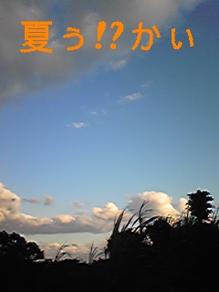夏?