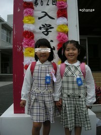 一年生 2008/04/19 13:49:10