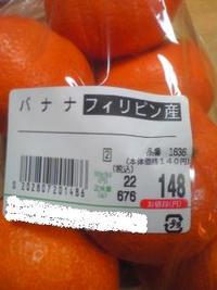 2009年12月23日