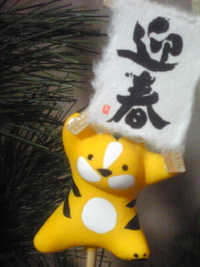 2009年12月31日