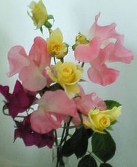 深呼吸 2007/03/27 22:50:00