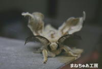 とべない羽 2008/08/10 17:28:52