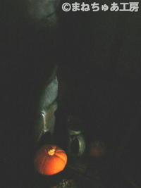 フェルメール 2008/08/04 17:16:00