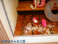 まつりのあとの 2008/08/25 10:20:04