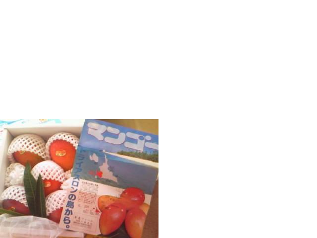 宮古島産のマンゴーを頂きました。