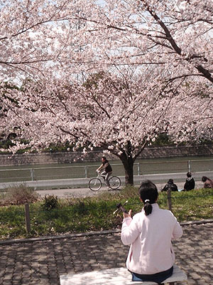 花見のあと