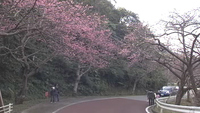 2012年01月24日