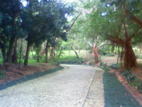 石道