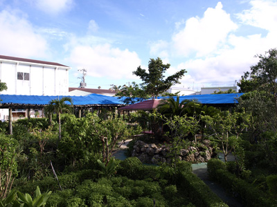 沖縄長生薬草ハーブ農園