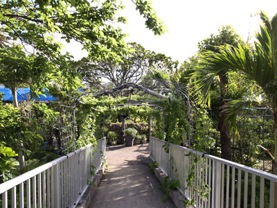 チョーセイハーブ園